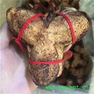 小丽百草行新会陈皮 大红柑皮 橘皮 桔子皮图2