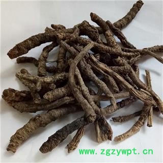 中药材 西藏野生 胡黄连 胡连 胡黄连 胡黄莲图2