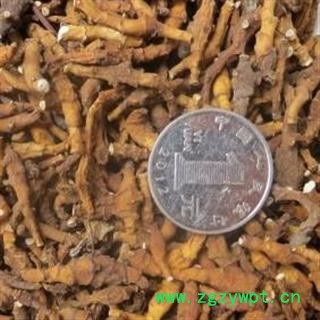 精选中药材节菖蒲 无硫 无杂 原色 植物原药材 产地 四川图4