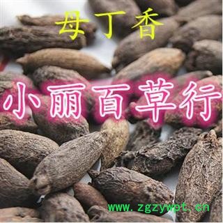 小丽百草行母丁香 鸡舌香 厨房调味香料图3