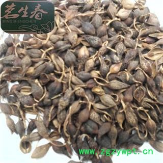 青翘 青翘生烘统货 产地 江西省 茗生春药材总公司 一手货源 7天无理由退换图3