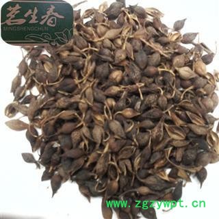 青翘 青翘生烘统货 产地 江西省 茗生春药材总公司 一手货源 7天无理由退换图2