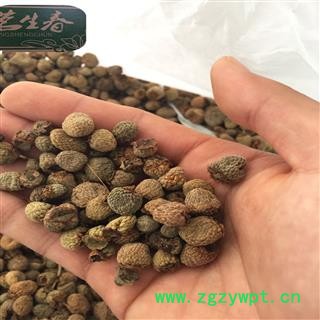 覆盆子 覆盆子选货 过6个筛 茗生春药材总公司 一手货源 7天无理由退换图2