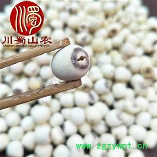 莲米白莲米无硫抽芯选货1公斤起批湖南产地直供莲子川蜀山农中药材批发图2