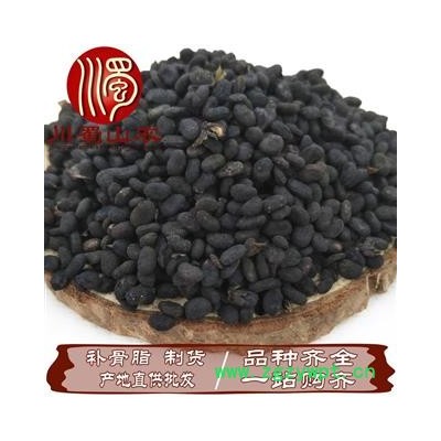 制补骨脂无硫选货散装1公斤起批产地直供盐补骨脂川蜀山农中药材批发