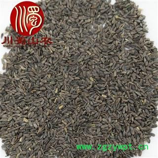 牛蒡子无硫选货散装1公斤起批产地直供大力子川蜀山农中药材批发图4