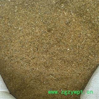 精品选货当归沫子  质量好 价格低 产地直销  产地 甘肃省图2