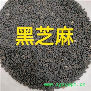 黑芝麻 黑芝麻净货 产地 山东省图3