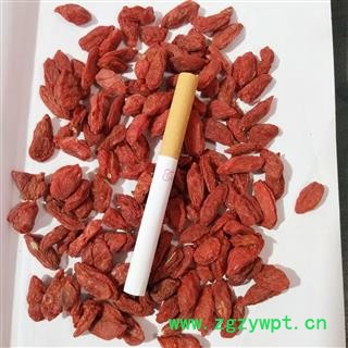 枸杞子 宁夏枸杞380 产地 宁夏回族自治区图3