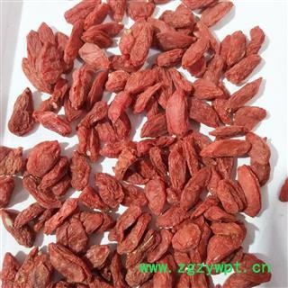 枸杞子 宁夏枸杞380 产地 宁夏回族自治区图2