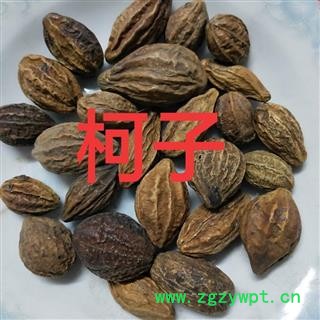 诃子 诃子统个 产地 云南省图3