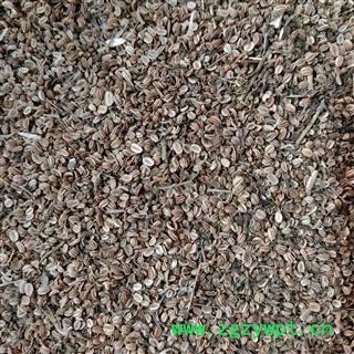 蛇床子 蛇床子净货 产地 山东省图3