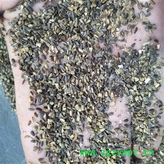 茺蔚子 产地直销茺蔚子净货，干净无杂 产地 山东省图4