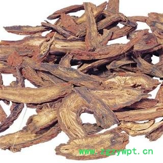 丹参 选货柳叶片 产地 山西省图2