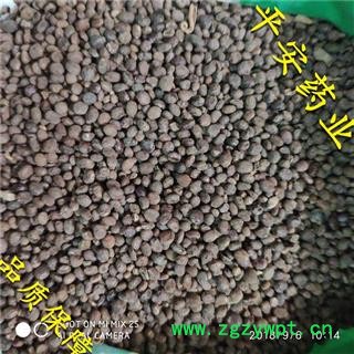 平安药业 急性子 正品 促销图2