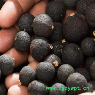 小丽百草行青柑 小青柑 新会柑胎 陈皮柑胎 青柑皮图2