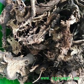 凯捷中药 升麻 统货 产地 北朝鲜图3