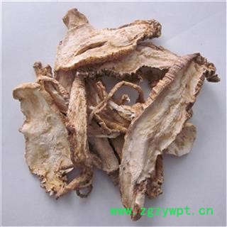 山海螺 四叶参 山海螺片 羊乳根 奶参 羊乳片 无硫熏大量批发图2
