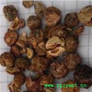 小丽百草行余甘子 土橄榄图2