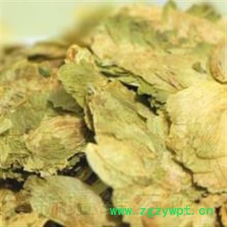 小丽百草行啤酒花 蛇麻草  酵母花 忽布图2