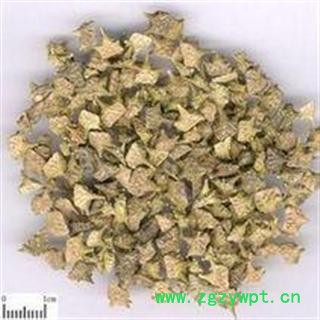白蒺藜 绿蒺藜 蒺藜 统 大货 小丽百草行 白蒺藜图2