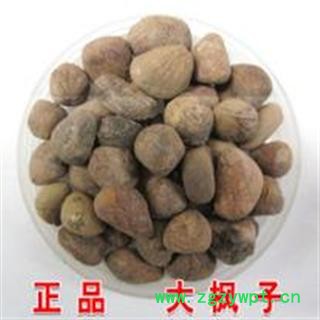 小丽百草行大枫子 大疯子大风子图2