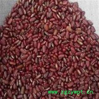 小丽百草行 红豆 红小豆 赤大豆 赤水豆非红小豆中药材图4