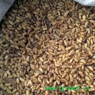 小丽百草行石榴子石榴皮 石榴子7天无理由退货图2