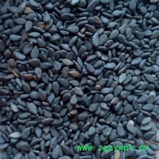 小丽百草行黑芝麻新货厚皮支持药检量大从优7天无理由退货图2