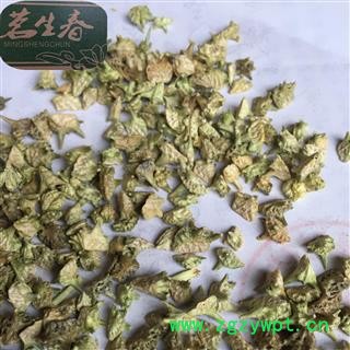 白蒺藜 统 产地 内蒙古自治区 茗生春药材总公司 一手货源 7天无理由退换图2