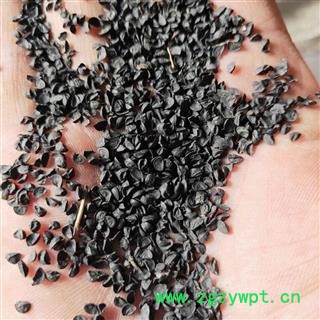 韭菜子 韭菜子净货 产地 山东省图2