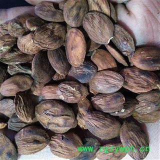 桃仁 新到一般清炒扁桃仁统货炒桃仁 产地 山东省图4