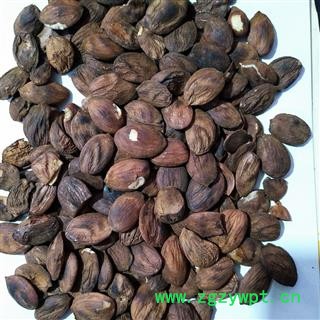 桃仁 新到一般清炒扁桃仁统货炒桃仁 产地 山东省图2