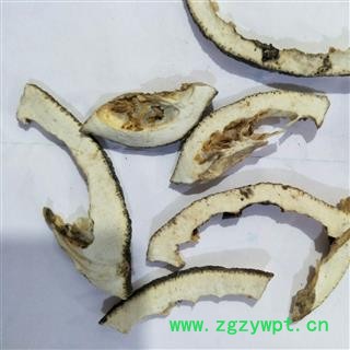 产地直销新货生枳壳，干净无杂质，实物拍摄图2