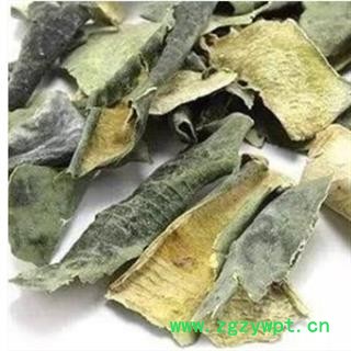 冬瓜皮 好统货 产地 山东省图2