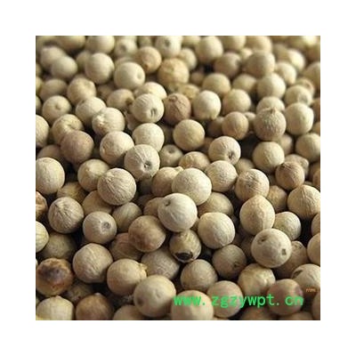 精选白胡椒 精选好货 产地直销  干度好