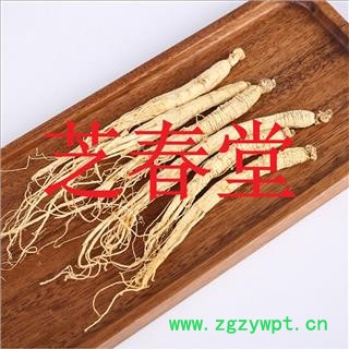 批发供应 长白山人参 白参 白参个 白参片 量大价优图4