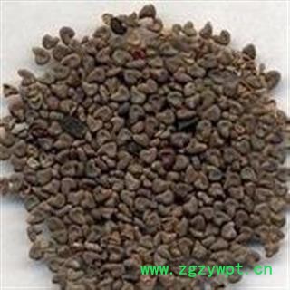 小丽百草行中药材苘麻子 青麻子、白麻子、茴麻子、青麻、葵子、白麻图2