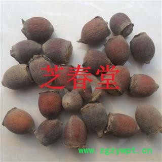 正品无硫中药材批发 桃金娘果/桃娘子/岗捻子/山岗稔子 岗念子图2