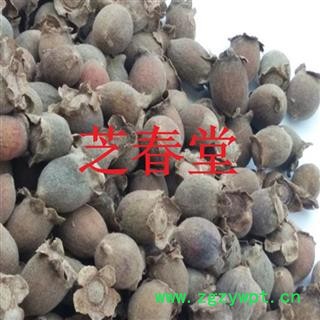 正品无硫中药材批发 桃金娘果/桃娘子/岗捻子/山岗稔子 岗念子图4