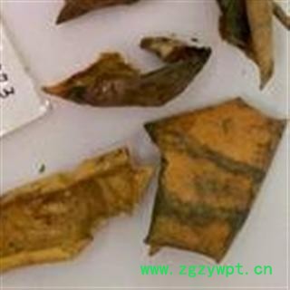 西瓜皮无污染 西瓜皮 西瓜翠皮 新货图3