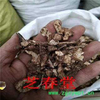 苍术 散装批发内蒙野生苍术 品质保证 量大价优图3