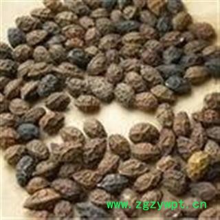 鸦胆子 选 产地 福建省莆田市市辖区图2