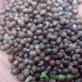 小丽百草行黄荆子 黄金子 布荆子牡荆子去皮图2