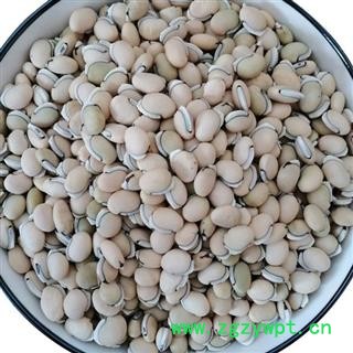 小丽百草行白扁豆符合药典长8-13mm宽6-9mm厚7mm新货量大从优可供饮片厂药厂图2