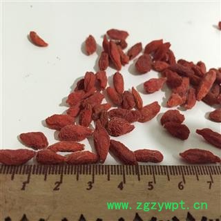 枸杞子 宁夏枸杞小粒 茗生春药材总公司 一手货源  7天无理由退换图3