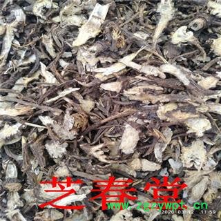中药材批发 藁本 无硫优质 蒿本 支持验货 承接订单图2