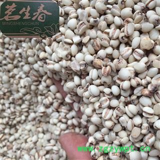 小薏苡仁 98选货 茗生春药材总公司 一手货源 7天无理由退换图2