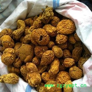 金果榄选货 质量好 价格低 产地直销  产地 四川省图2