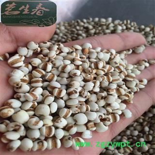 小薏米 国产小薏苡仁98米 茗生春药材总公司 一手货源 7天无理由退换图2